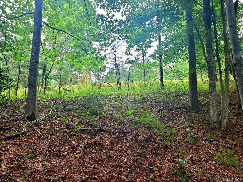 0 Fallen Tree Lane, Unit 27 Mill Spring, NC 28756 - Photo 10 of 24