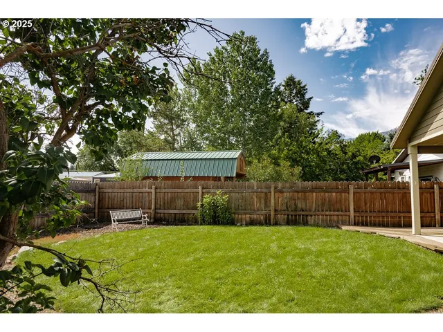 a view of a flower in a garden