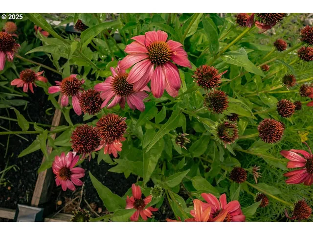 $475,900 | 104 North College Street, Joseph, OR 97846