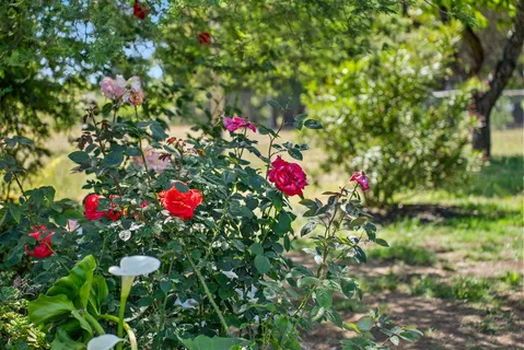 $1,375,000 | 261 Wheelock Road, Watsonville, CA 95076