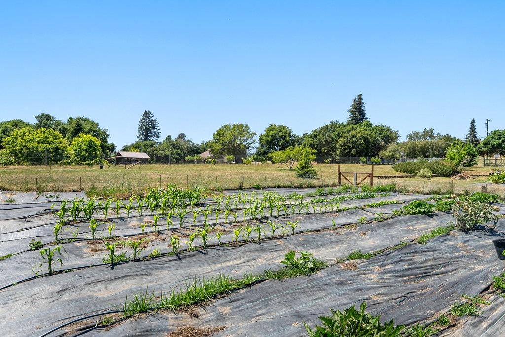 261 Wheelock Road Watsonville, CA 95076 - Photo 33 of 44 a view of a lake with a yard