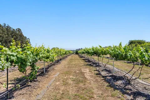 $1,375,000 | 261 Wheelock Road, Watsonville, CA 95076