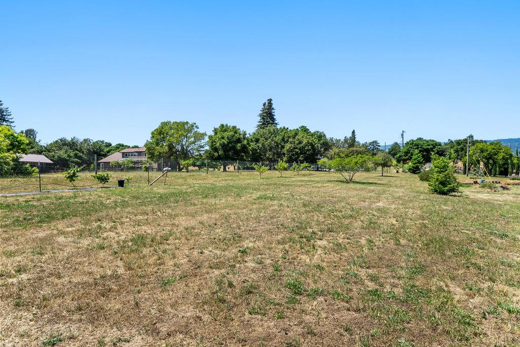261 Wheelock Road Watsonville, CA 95076 - Photo 35 of 44 a view of a field with trees in the background