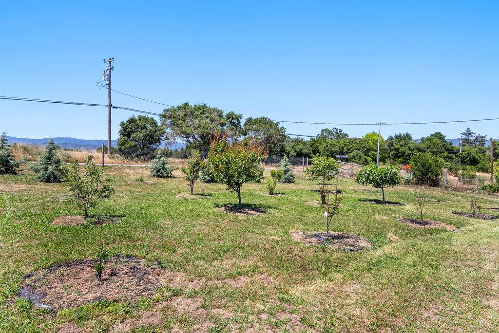 261 Wheelock Road Watsonville, CA 95076 - Photo 36 of 44 a view of a green filed