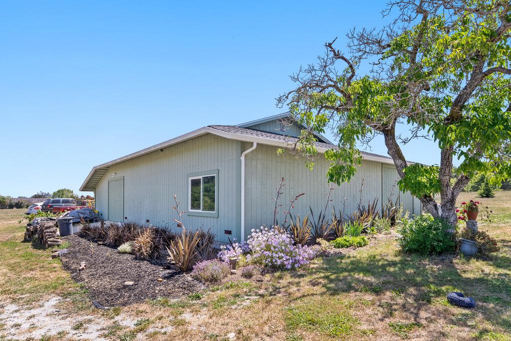 261 Wheelock Road Watsonville, CA 95076 - Photo 37 of 44 a view of a backyard with plants and a large tree