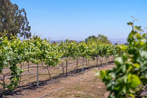 $1,375,000 | 261 Wheelock Road, Watsonville, CA 95076