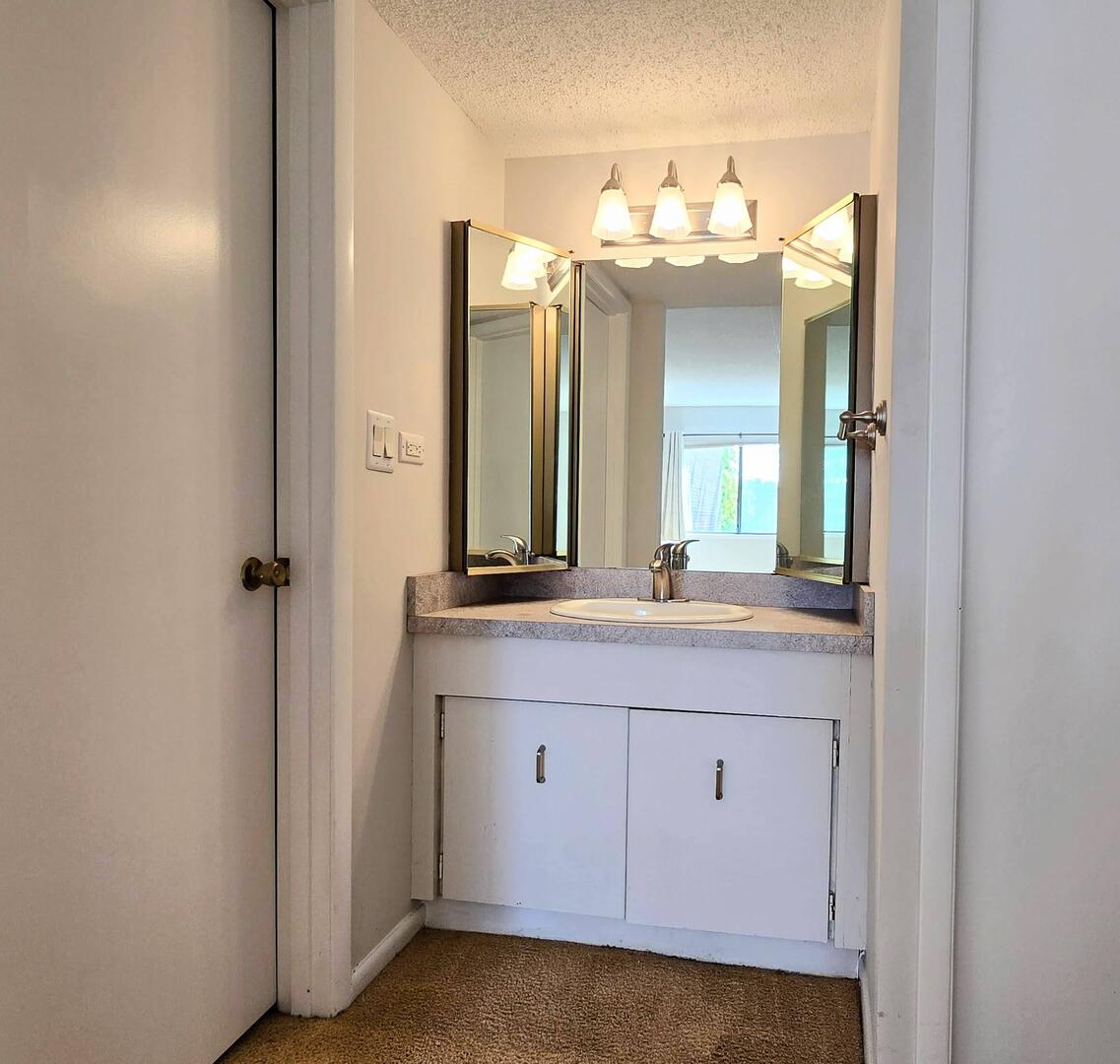 690 Chandler Road, Unit 207 Gurnee, IL 60031 - Photo 12 of 17 a bathroom with a double vanity sink and a mirror