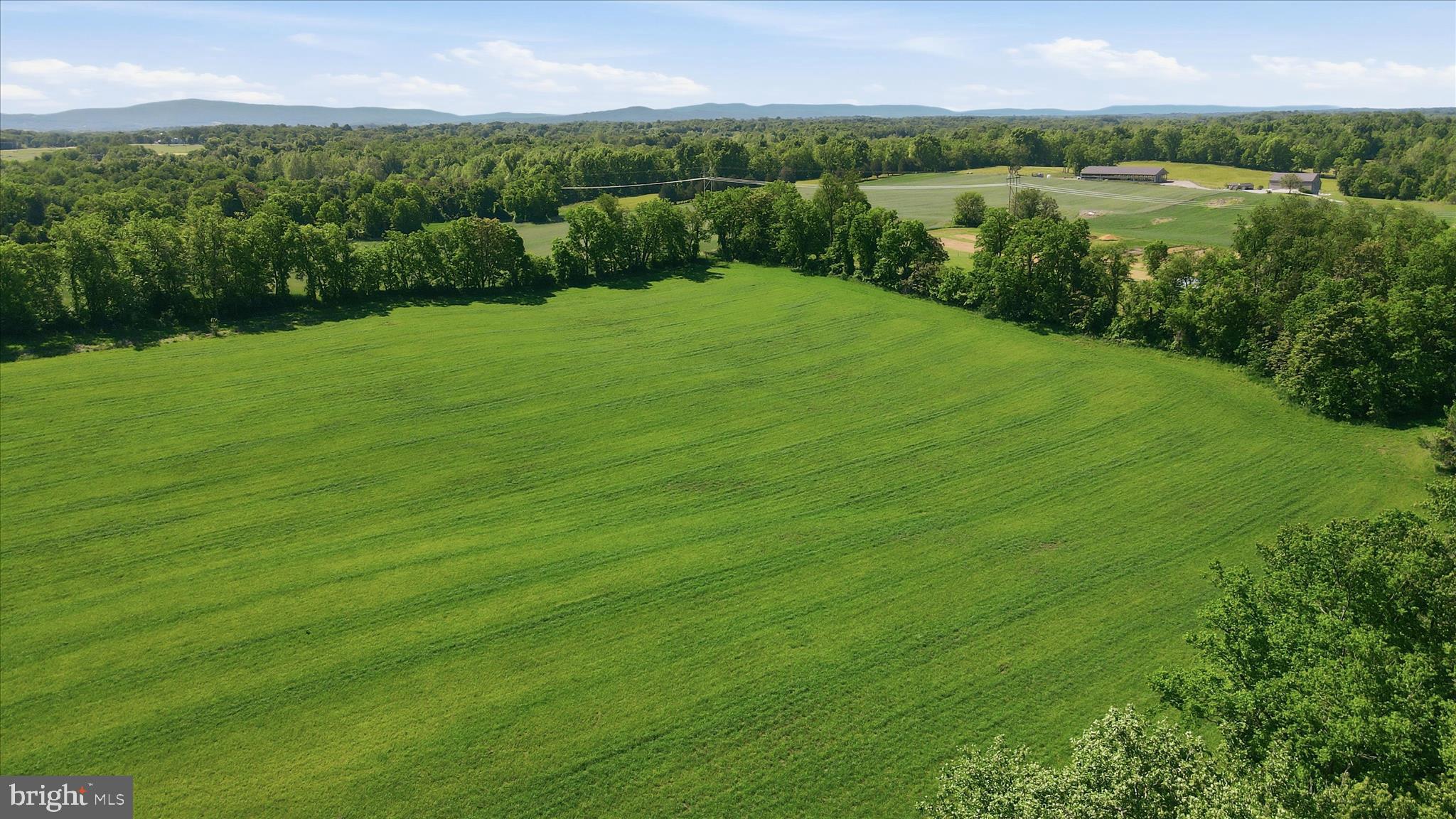 8805 Reichard Road Fairplay, MD 21733 - Photo 64 of 73 Aerial View of the land