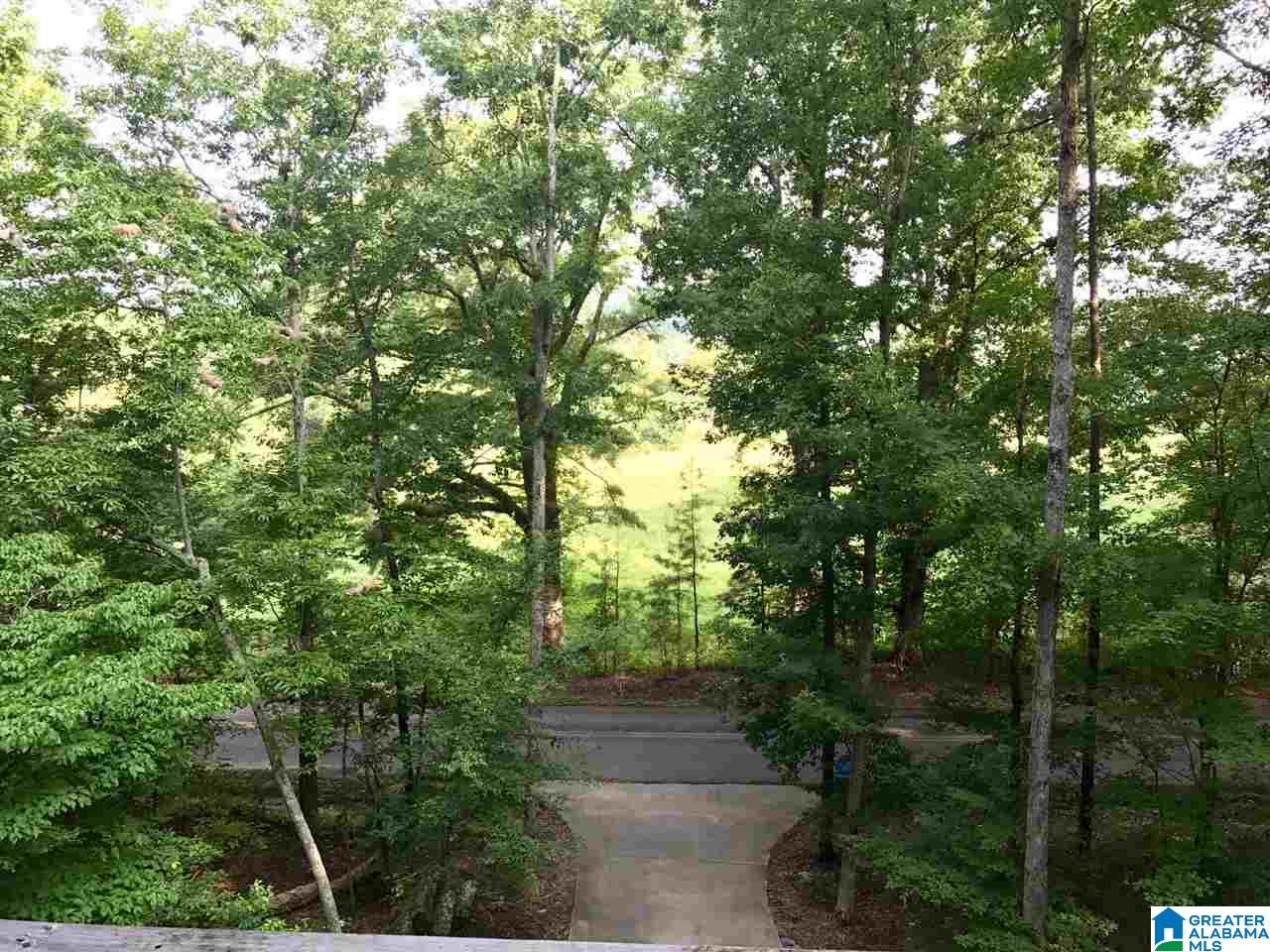 2705 Springville Boulevard Oneonta, AL 35121 - Photo 23 of 23