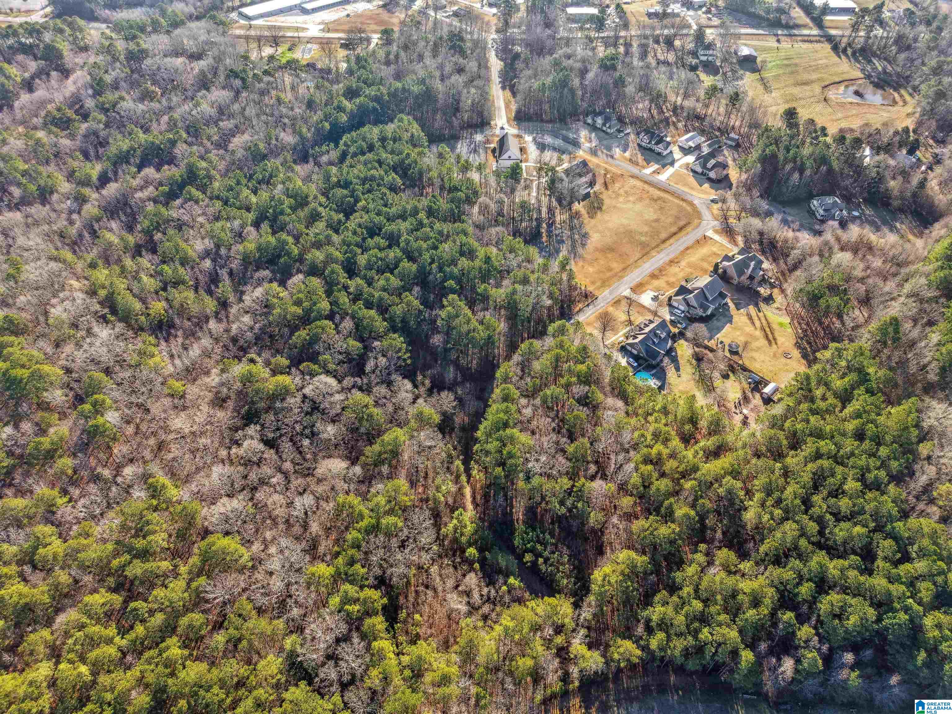 0 Branch Cove, Unit PHASE 2 Odenville, AL 35120 - Photo 19 of 32