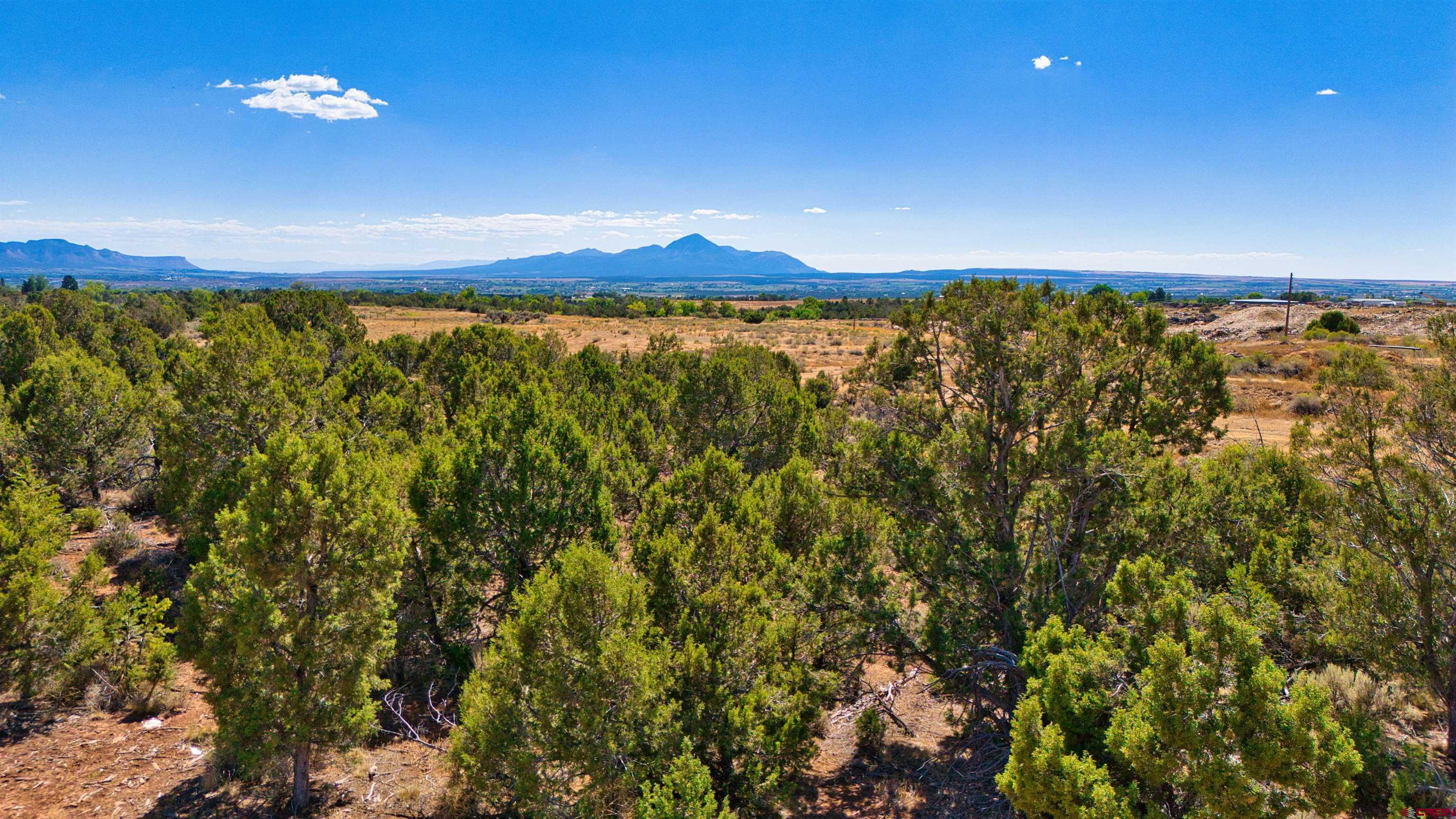 27980 Rd T Dolores, CO 81323 - Photo 13 of 16