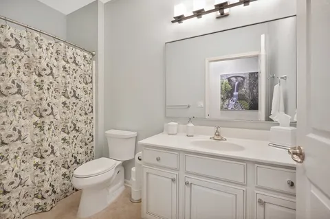 a bathroom with a sink a toilet and shower curtain
