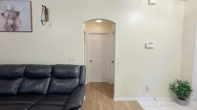 a living room with furniture and a potted plant