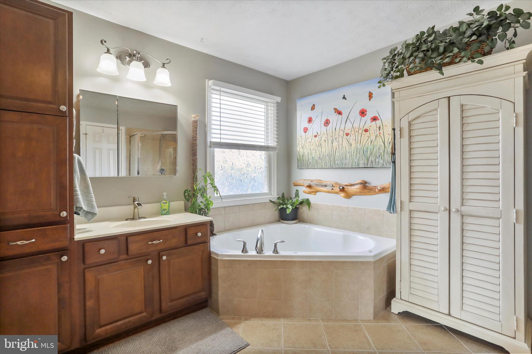 5670 Long Meadow Road Middletown, VA 22645 - Photo 16 of 61 Master Bath