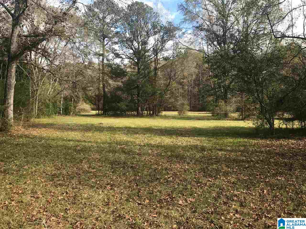 3415 Logan Martin Dam Road, Unit 48 / ACRES Vincent, AL 35178 - Photo 31 of 32
