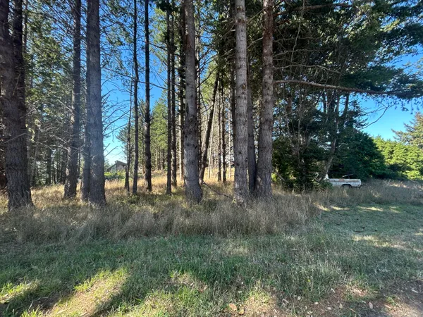 $15,000 | 48 Cinch Court, Whitethorn, CA 95589