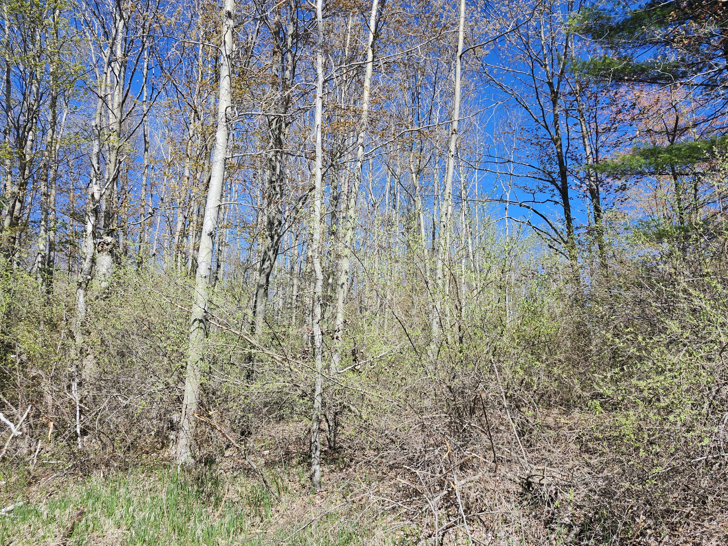 Hill view