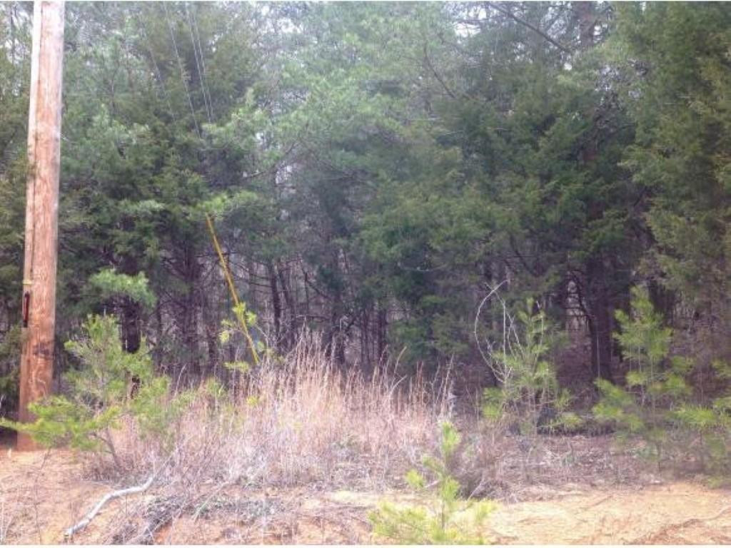 Tbd Tweed Road Limestone, TN 37681 - Photo 3 of 6 Photo 3