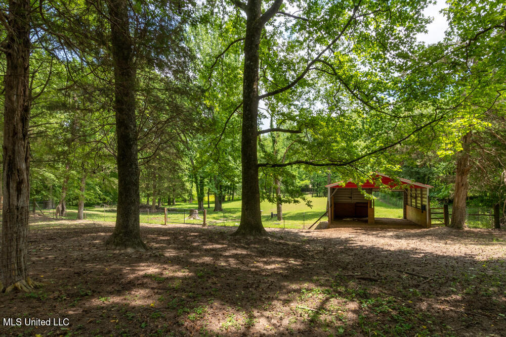 4786 Fogg Road North Nesbit, MS 38651 - Photo 8 of 29 Fogg-11