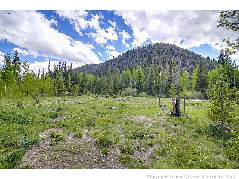 1904 Soda Ridge Road, Unit 1234 Keystone, CO 80435 - Photo 22 of 25 a big yard with lots of green space