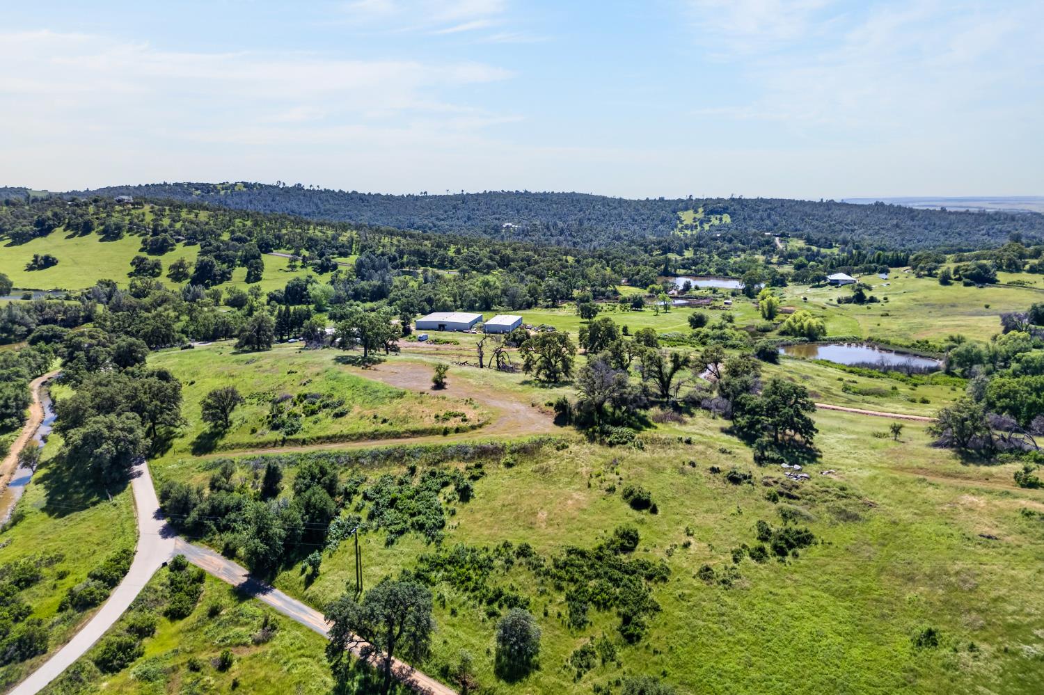 6545 Garden Bar Road Lincoln, CA 95648 - Photo 20 of 25 an aerial view of a residential houses with outdoor space and trees all around