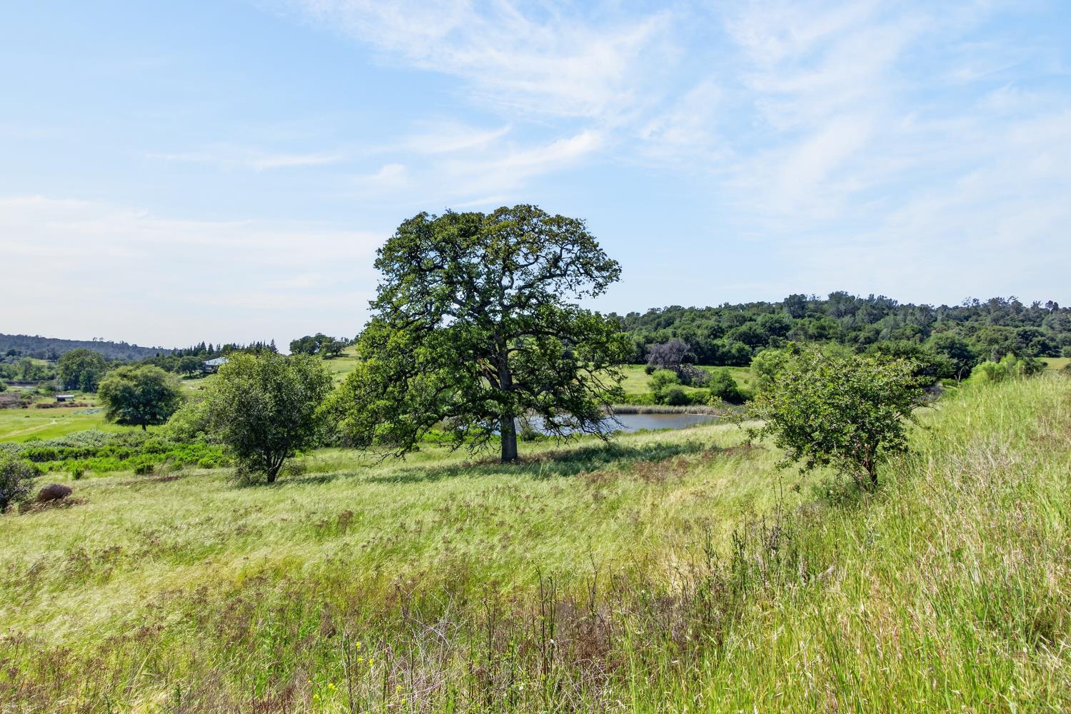 6545 Garden Bar Road Lincoln, CA 95648 - Photo 7 of 25 a view of a green field with lots of green space