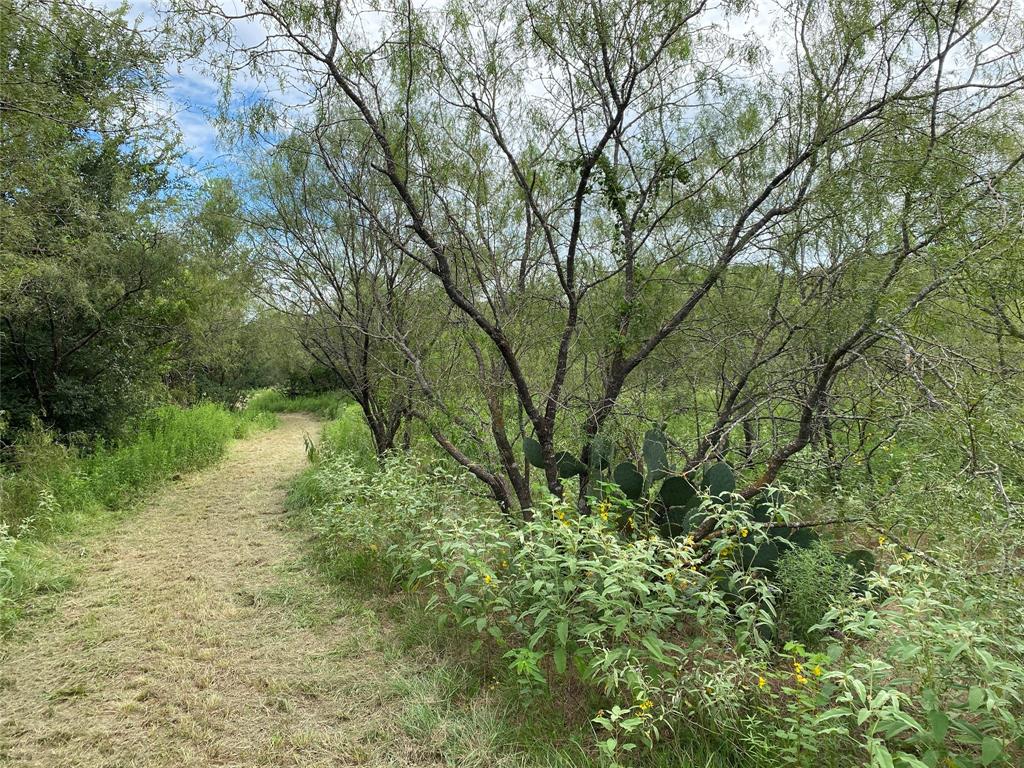 3909 Harrison Street Bellmead, TX 76705 - Photo 13 of 13 a backyard of a house with lots of green space