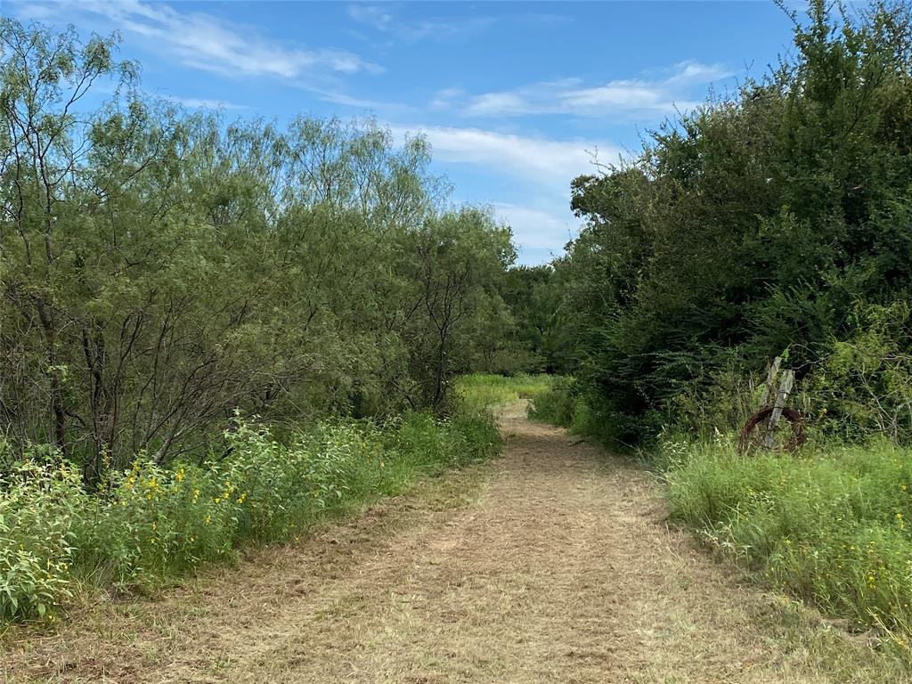 3909 Harrison Street Bellmead, TX 76705 - Photo 4 of 13 a view of a field with trees in the background