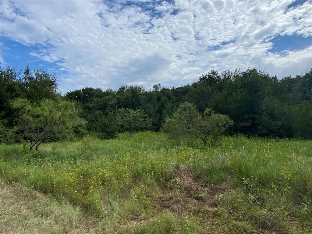 3909 Harrison Street Bellmead, TX 76705 - Photo 8 of 13 a view of a field of grass and trees