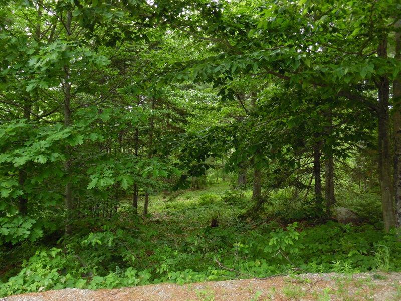 99 Howard Road Belmont, ME 04952 - Photo 6 of 6 Photo