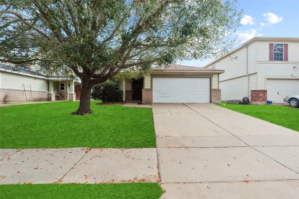 a backyard of a house with potted plants and large tree