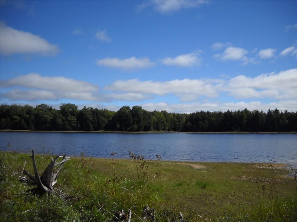 167 Silsby Road Ellsworth, ME 04605 - Photo 4 of 10 Photo