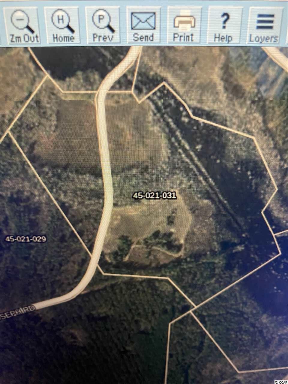 Tbd Joseph Road Greeleyville, SC 29056 - Photo 1 of 9 Gallery Image 1
