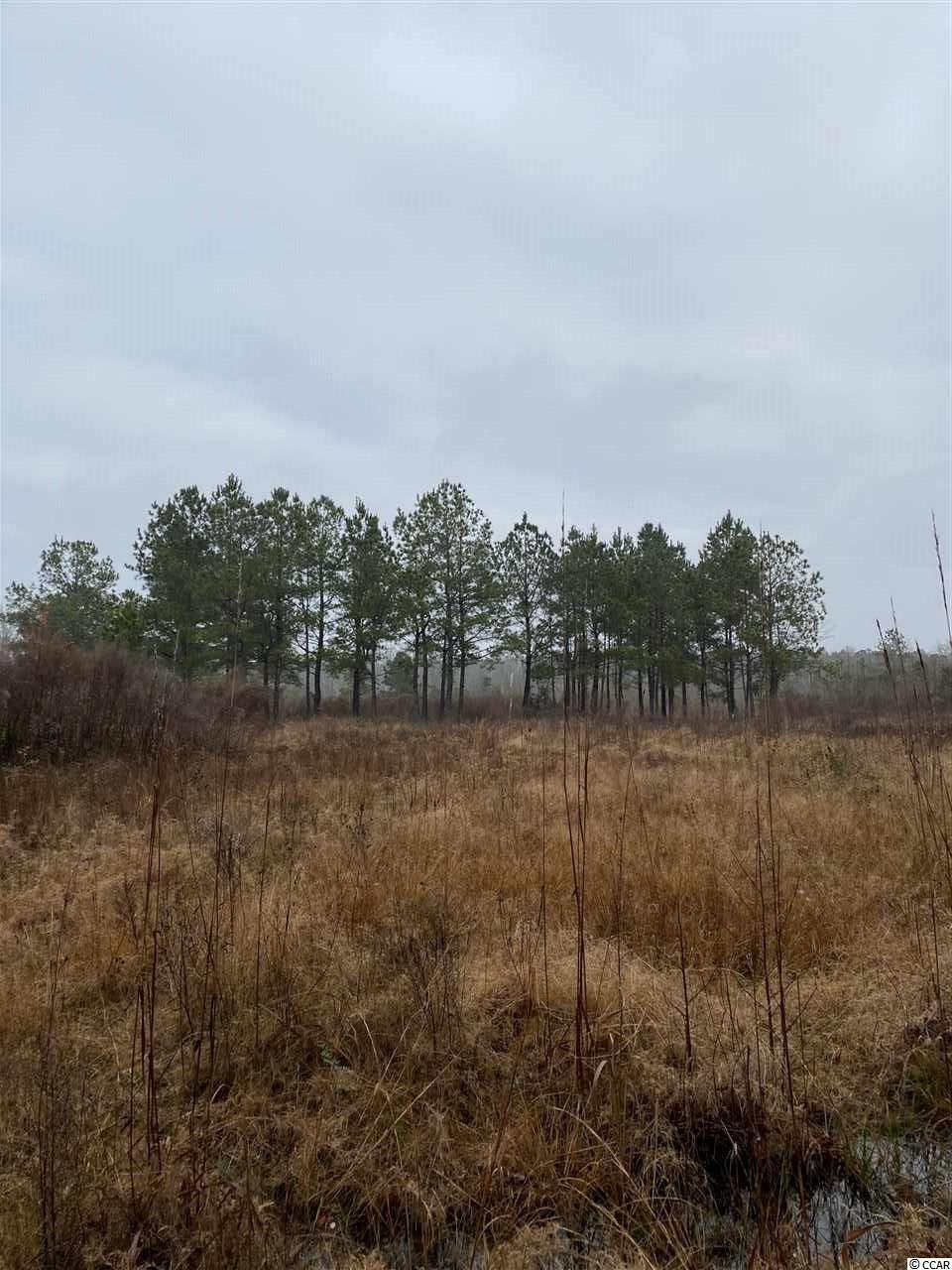 Tbd Joseph Road Greeleyville, SC 29056 - Photo 3 of 9 Gallery Image 3