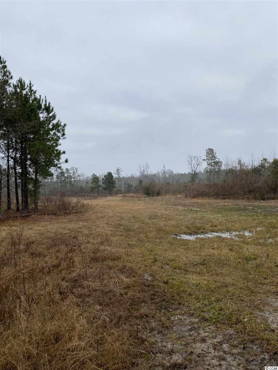 Tbd Joseph Road Greeleyville, SC 29056 - Photo 4 of 9 Gallery Image 4