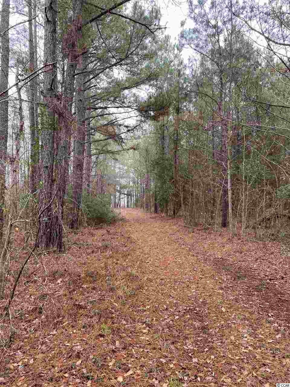 Tbd Joseph Road Greeleyville, SC 29056 - Photo 5 of 9 Gallery Image 5