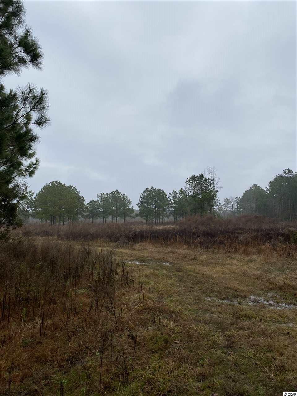 Tbd Joseph Road Greeleyville, SC 29056 - Photo 6 of 9 Gallery Image 6