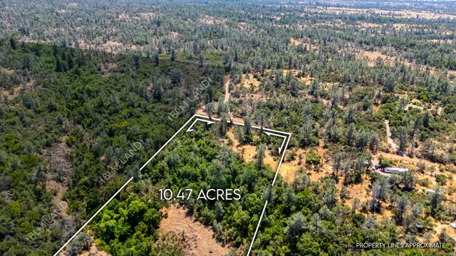 $59,900 | 27010 Lack Creek Drive, Shingletown, CA 96088