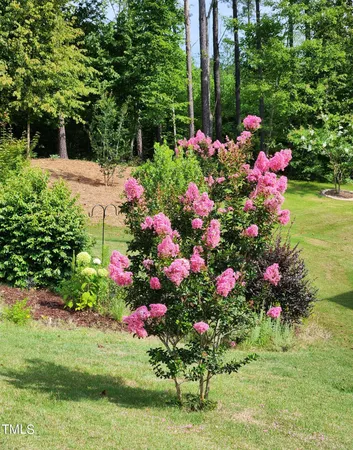 a view of a garden with a bench