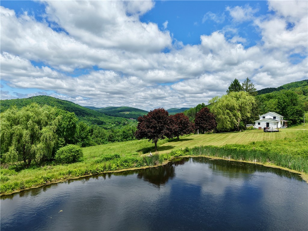 240 Dowie Road Andes, NY 13731 - Photo 40 of 49