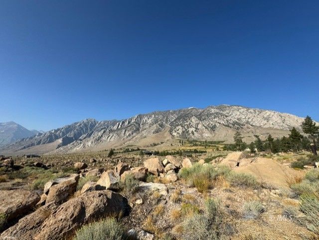 Lot #7 Swall Meadows Road Bishop, CA 93514 - Photo 15 of 17 Mountain View