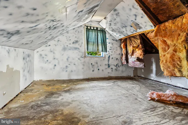 a view of a grassy field with trees