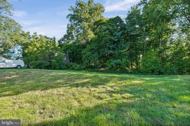 a big yard with large trees