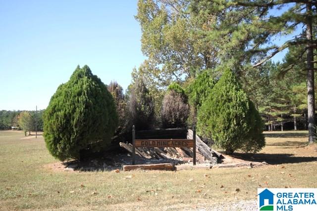 0 County Road 928, Unit 19 Delta, AL 36258 - Photo 2 of 43