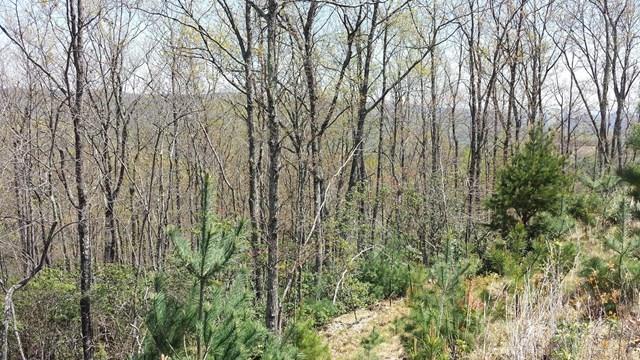 329 Pepperroot Road Boone, NC 28607 - Photo 1 of 7