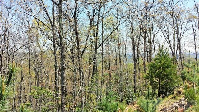 329 Pepperroot Road Boone, NC 28607 - Photo 4 of 7