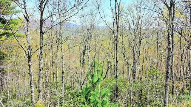 329 Pepperroot Road Boone, NC 28607 - Photo 5 of 7