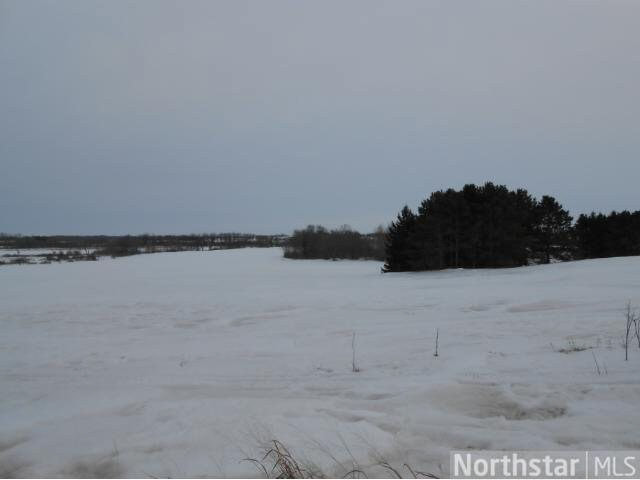 Xxxxxx Abaca Road Bowlus, MN 56314 - Photo 2 of 2 Gallery Image 2