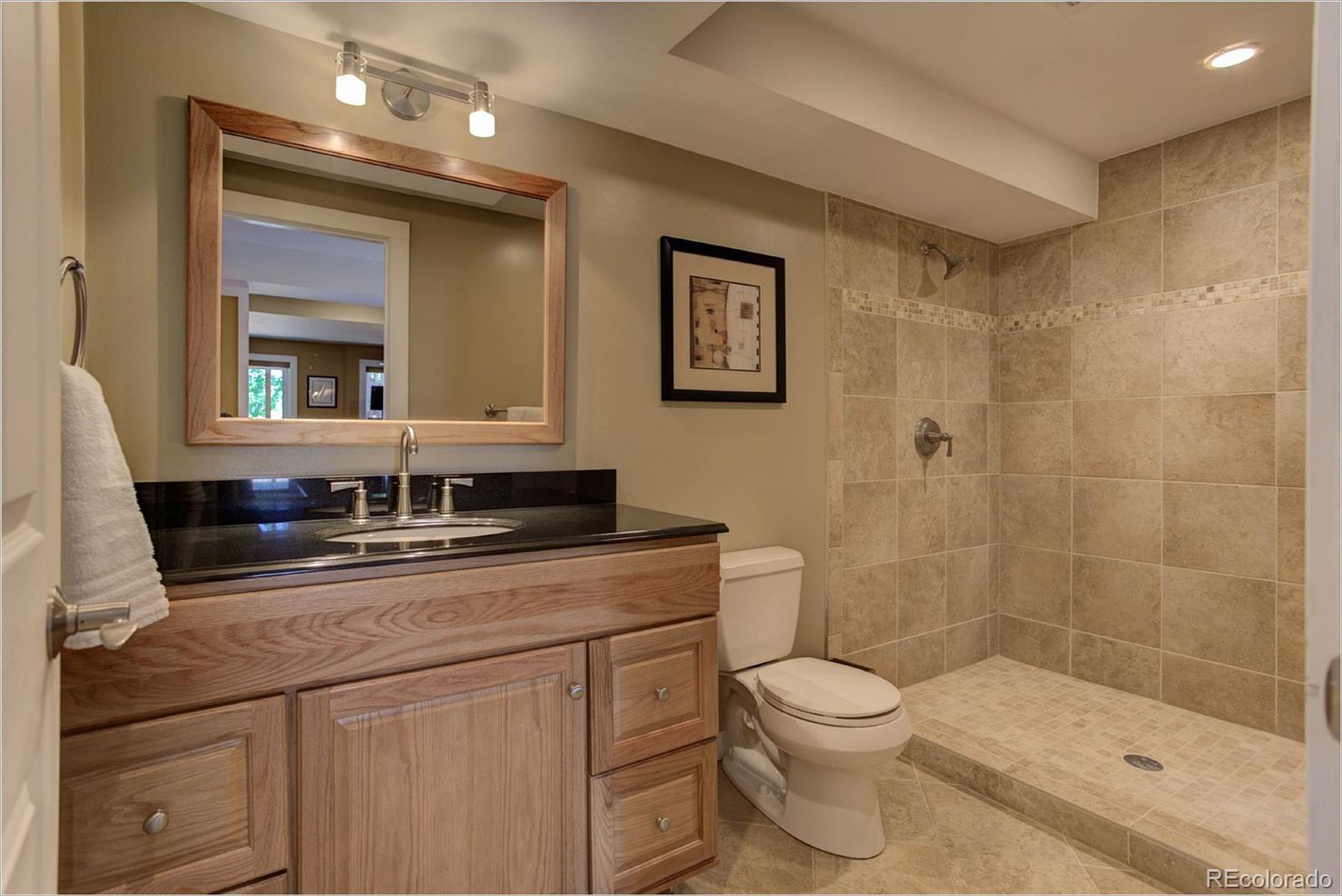 1021 Riddlewood Road Highlands Ranch, CO 80129 - Photo 22 of 29 a bathroom with a sink a toilet and shower