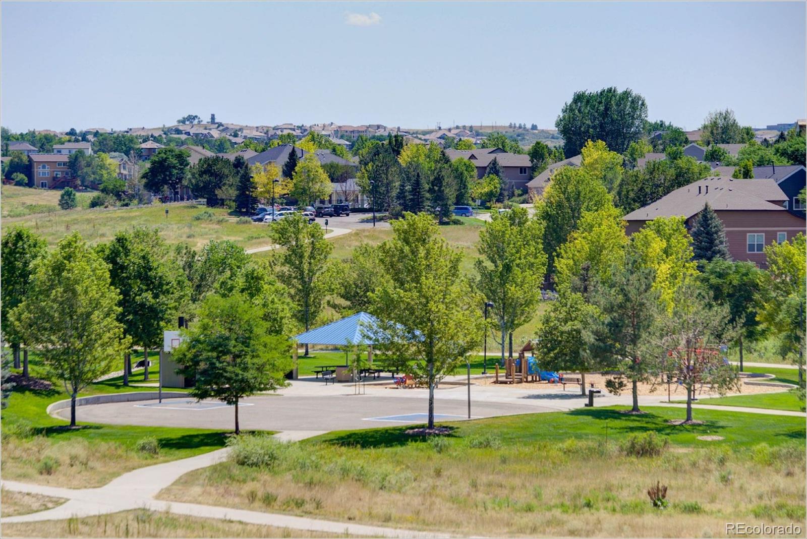 1021 Riddlewood Road Highlands Ranch, CO 80129 - Photo 29 of 29 a view of a park with large trees